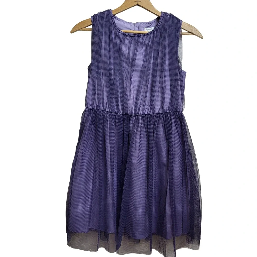 Calvin Klein Kids Dress Violette Dusk Size 12 NWT Tulle Skirt Zipper Closure $90